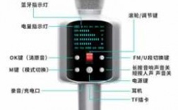 藍(lán)牙可以改話筒模式嗎（怎么把藍(lán)牙麥克風(fēng)換成手機(jī)麥克風(fēng)）